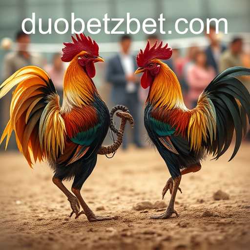 Understanding Online Sabong and the Role of DuoBetz